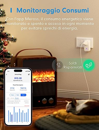 MSS310R-Meross Smart Power Soc - Power Tools Google recensie en prijs